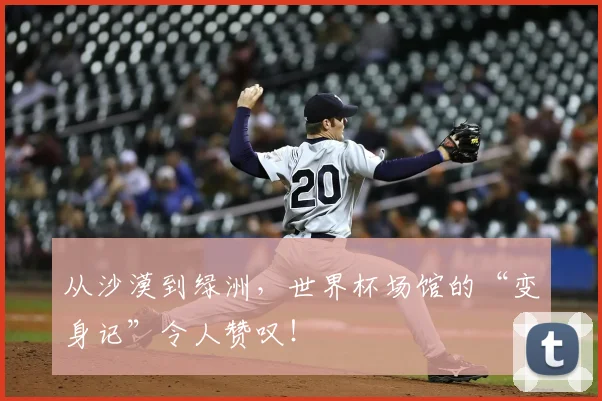 从沙漠到绿洲，世界杯场馆的“变身记”令人赞叹！