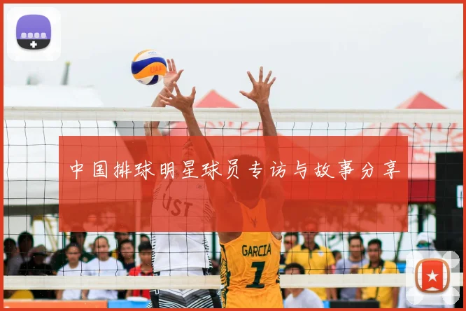 中国排球明星球员专访与故事分享
