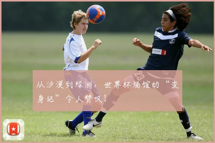 从沙漠到绿洲，世界杯场馆的“变身记”令人赞叹！