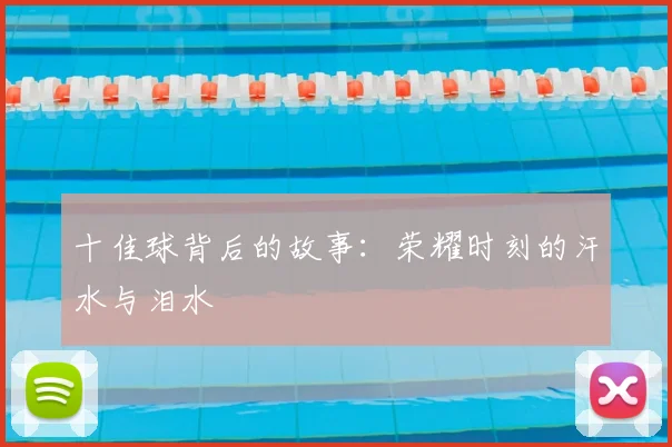 十佳球背后的故事：荣耀时刻的汗水与泪水